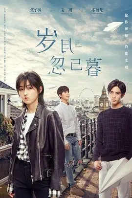 《岁月忽已暮》：青春的诗意挽歌，缅怀逝去的青春