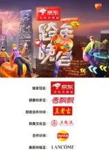 《2024-2025湖南卫视芒果TV跨年晚会》：顶流云集，燃爆新年！精彩看点全揭秘