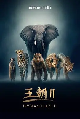 《王朝 第二季》：动物世界的生存法则，母爱与挑战并存的史诗级纪录片