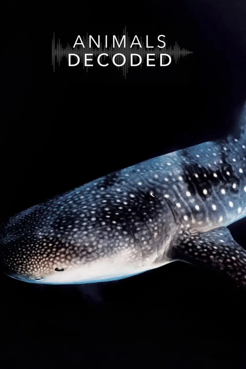 《动物解码》：揭秘动物行为背后的真相，探索生命的奇妙与残酷